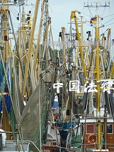 中国法律有没有规定 中国法律有没有规定