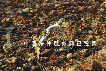 中国法律服务网已投票 中国法律服务网已投票