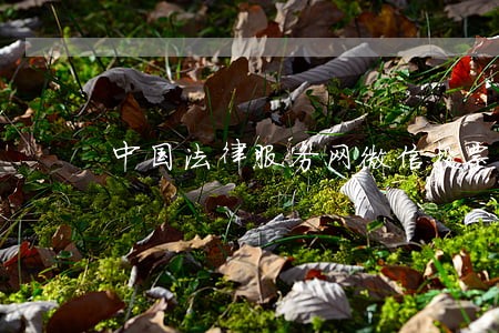 中国法律服务网微信投票 中国法律服务网微信投票