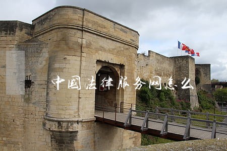 中国法律服务网怎么
