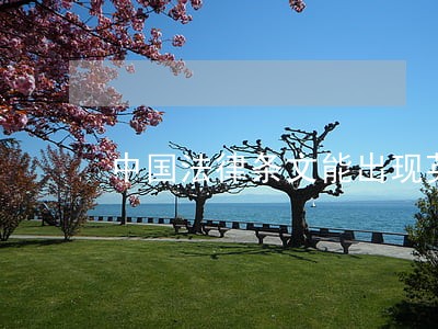 中国法律条文能出现英文缩写