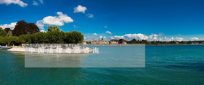 中国法律毒品咨询 中国法律毒品咨询