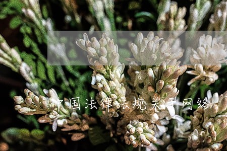 中国法律法规关于网络
