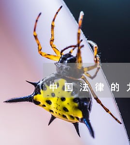 中国法律的力度 中国法律的力度