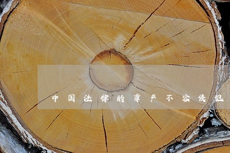 中国法律的尊严不容侵犯 中国法律的尊严不容侵犯