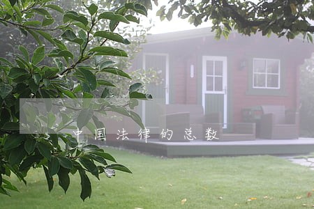 中国法律的总数