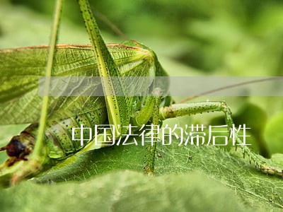 中国法律的滞后性 中国法律的滞后性