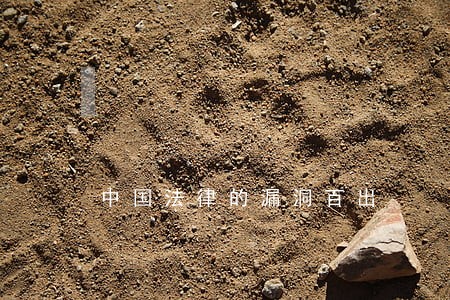 中国法律的漏洞百出 中国法律的漏洞百出