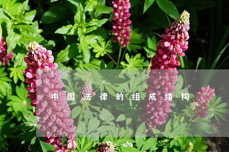 中国法律的组成结构 中国法律的组成结构