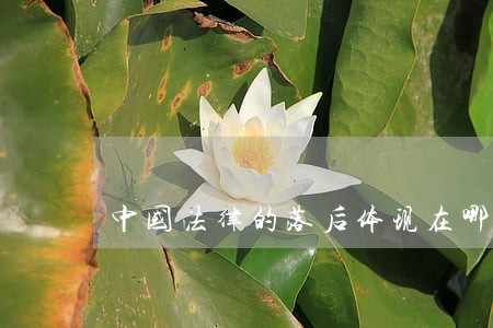 中国法律的落后体现在哪里 中国法律的落后体现在哪里