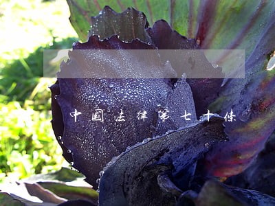 中国法律第七十条 中国法律第七十条