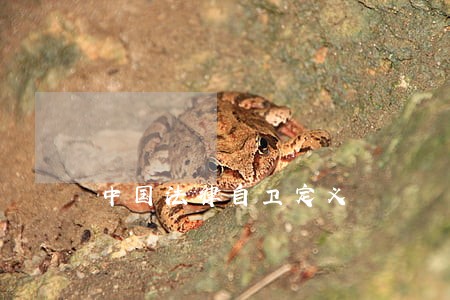 中国法律自卫定义