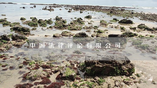 中国法律评论有限公司 中国法律评论有限公司