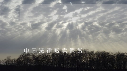 中国法律贩卖假货 中国法律贩卖假货