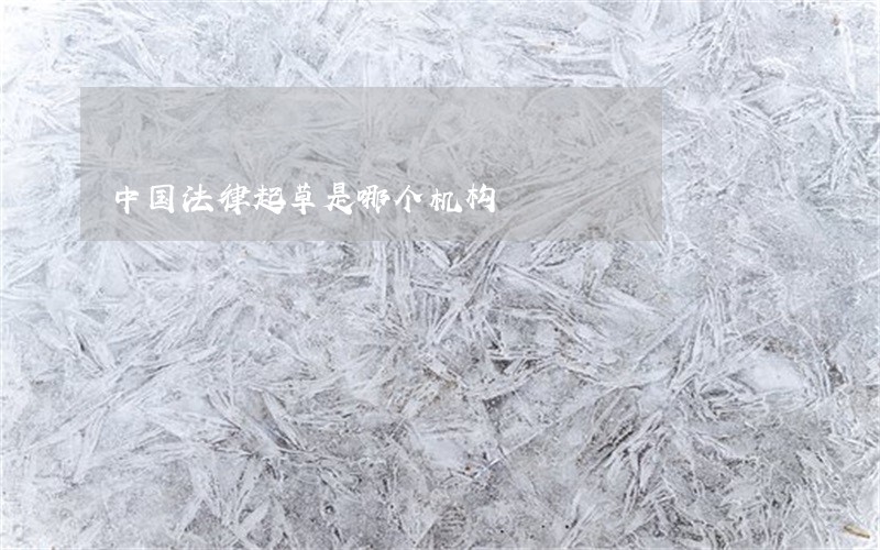 中国法律起草是哪个机构