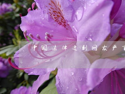 中国法律遭到网友严重质疑