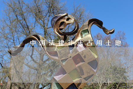 中国法律非法占用土地