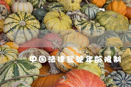 中国法律驾驶年龄限制 中国法律驾驶年龄限制