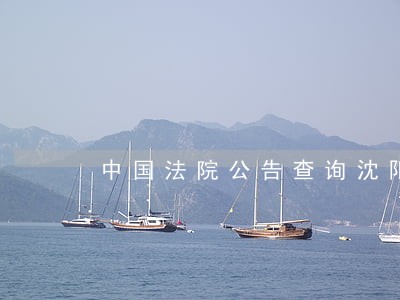 中国法院公告查询沈阳 中国法院公告查询沈阳