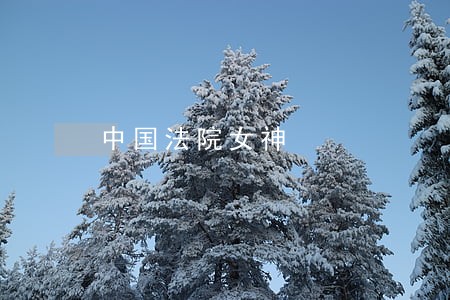 中国法院女神 中国法院女神