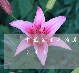 中国法院界的名人/2023021855046 中国法院界的名人/2023021855046
