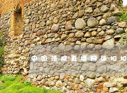 中国法院直播网张扣扣 中国法院直播网张扣扣