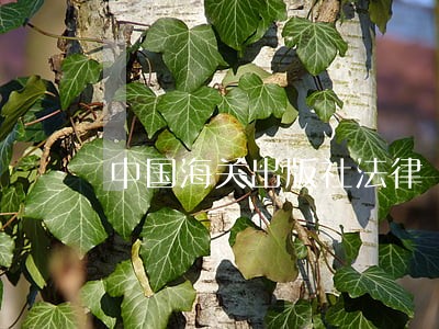 中国海关出版社法律 中国海关出版社法律
