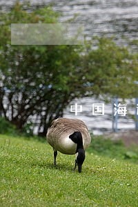 中国海运保险法律制度发展 中国海运保险法律制度发展