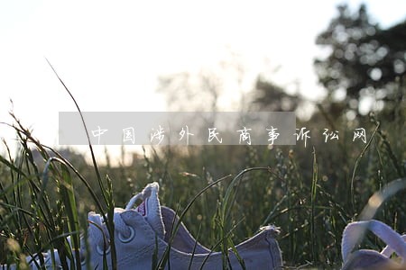中国涉外民商事诉讼网