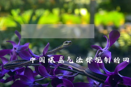 中国煤层气法律规制的回顾与反思