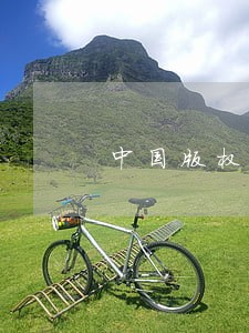 中国版权登记查询服务平台 中国版权登记查询服务平台