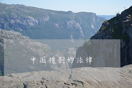中国特别的法律