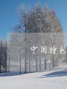 中国特色民法的基本特征 中国特色民法的基本特征