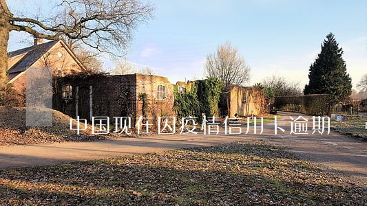 中国现在因疫情信用卡逾期