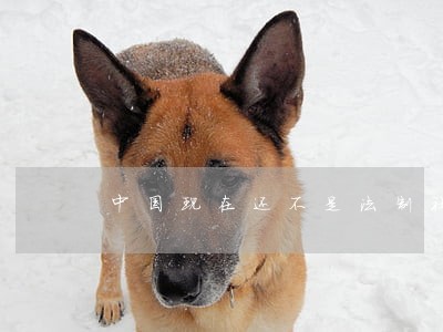 中国现在还不是法制社会 中国现在还不是法制社会