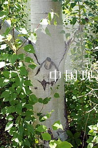 中国现行宪法是哪一年的宪法 中国现行宪法是哪一年的宪法