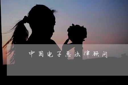 中国电子总法律顾问 中国电子总法律顾问