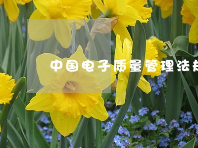 中国电子质量管理法规 中国电子质量管理法规