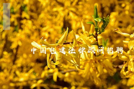 中国电建法律顾问招聘