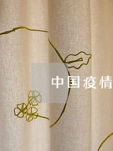 中国疫情贷款逾期状况
