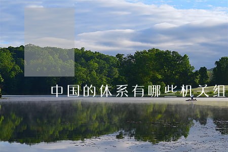 中国的体系有哪些机关组成 中国的体系有哪些机关组成