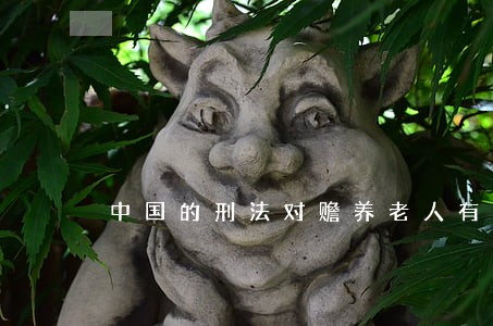 中国的刑法对赡养老人有何规定 中国的刑法对赡养老人有何规定