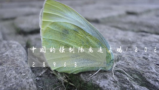 中国的强制隔离违法吗/2023020428953 中国的强制隔离违法吗/2023020428953