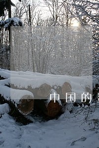 中国的数字货币交易平台违法么