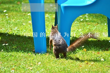 中国的法律为什么不能狠一点 中国的法律为什么不能狠一点