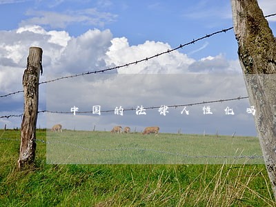 中国的法律人性化吗 中国的法律人性化吗