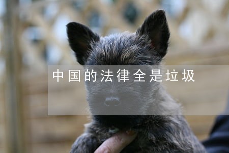 中国的法律全是垃圾 中国的法律全是垃圾