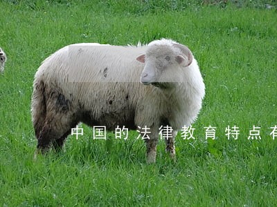 中国的法律教育特点有哪些