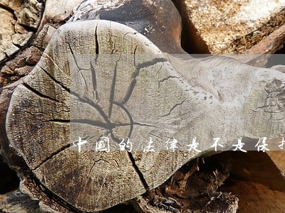 中国的法律是不是保护坏人的