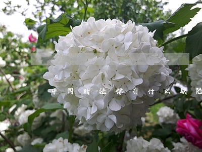 中国的法律有什么缺陷 中国的法律有什么缺陷